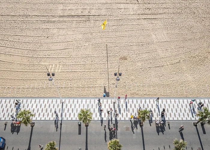 Damas 23-c Levante * Benidorm