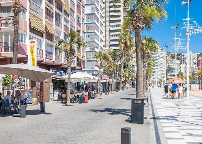 Damas 23-c Levante Apartament *